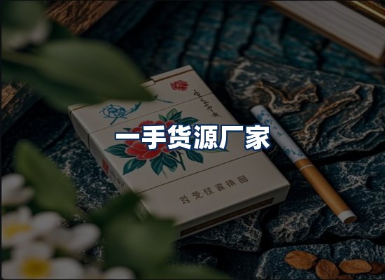 专业团队办公环境